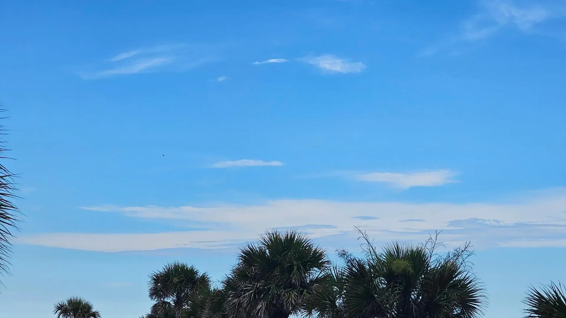 Oceanfront Escape With Balcony And Heated Salt Water Pool Sleeps 4 Aparthotel Daytona Beach